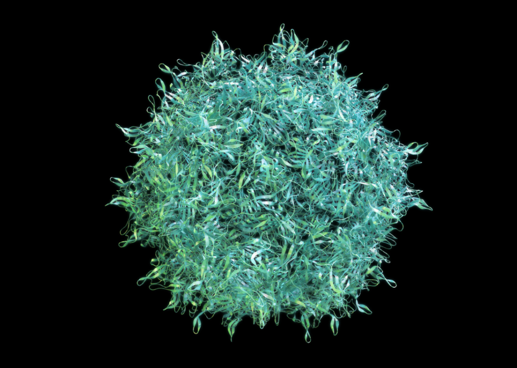Capsid
